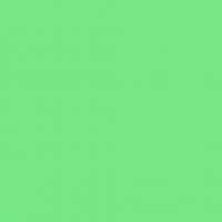 Youth Group Topicals